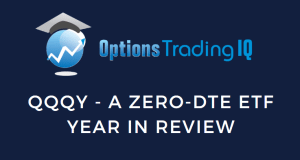 A year review of the QQQY performance.