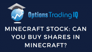 Minecraft stock