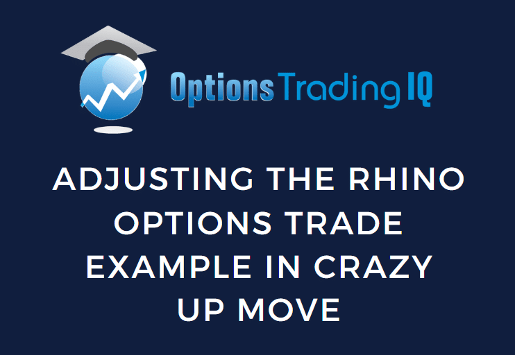 adjusting the rhino options trade