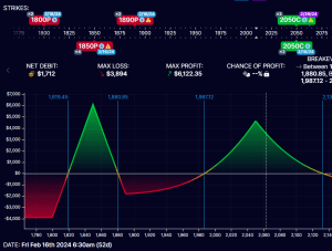 adjusting the rhino options trade
