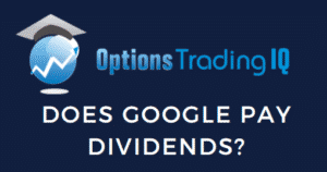 does google pay dividends