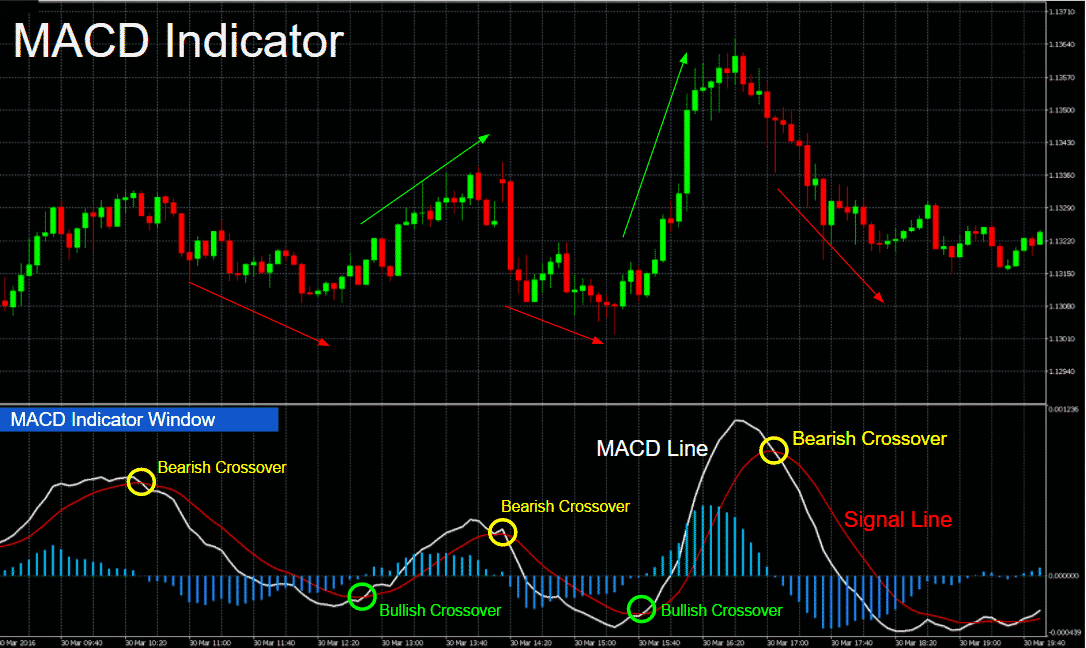 macd indicator in forex trading