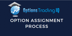 option assignment process