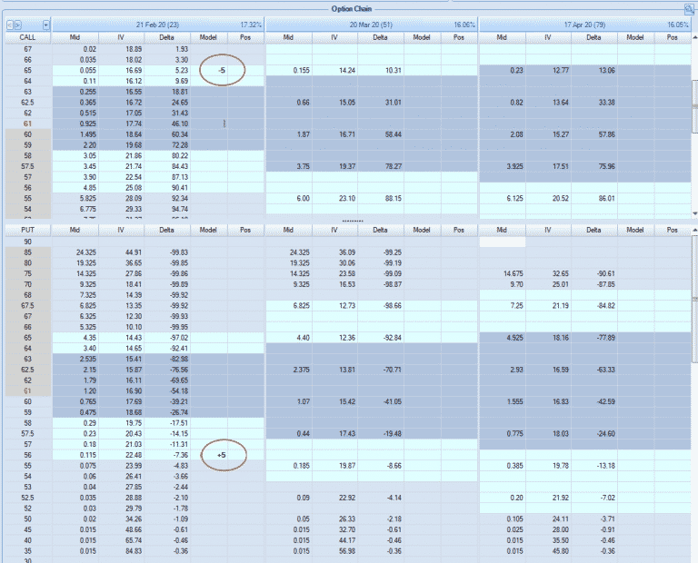 OptionNet Explorer Review 2025 - Complete Guide w/ Examples