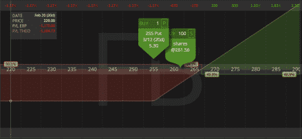 options hedging example