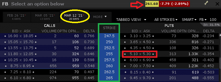 put option hedge example