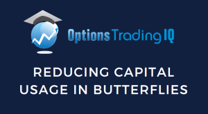 reduced capital usage in butterflies