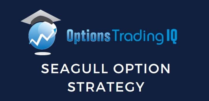 seagull option strategy