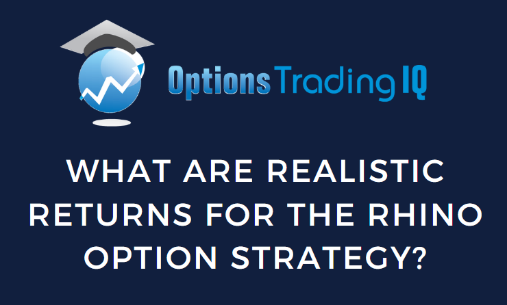 what are realistic returns for the rhino option strategy